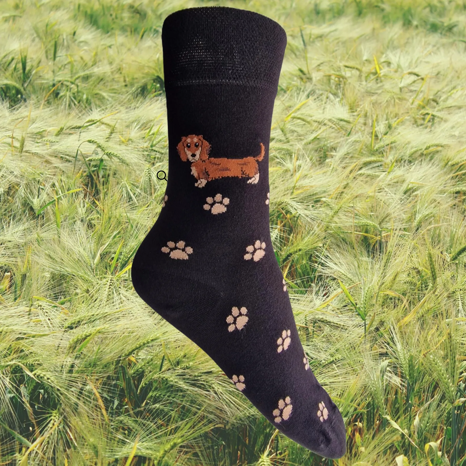 Hazy Blue Womens Dog Socks Bamboo Blend Size 4 to 8